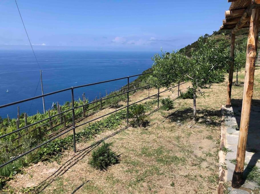 Orangehouse Cinque Terre. Private Parking Villa Riomaggiore Exterior photo
