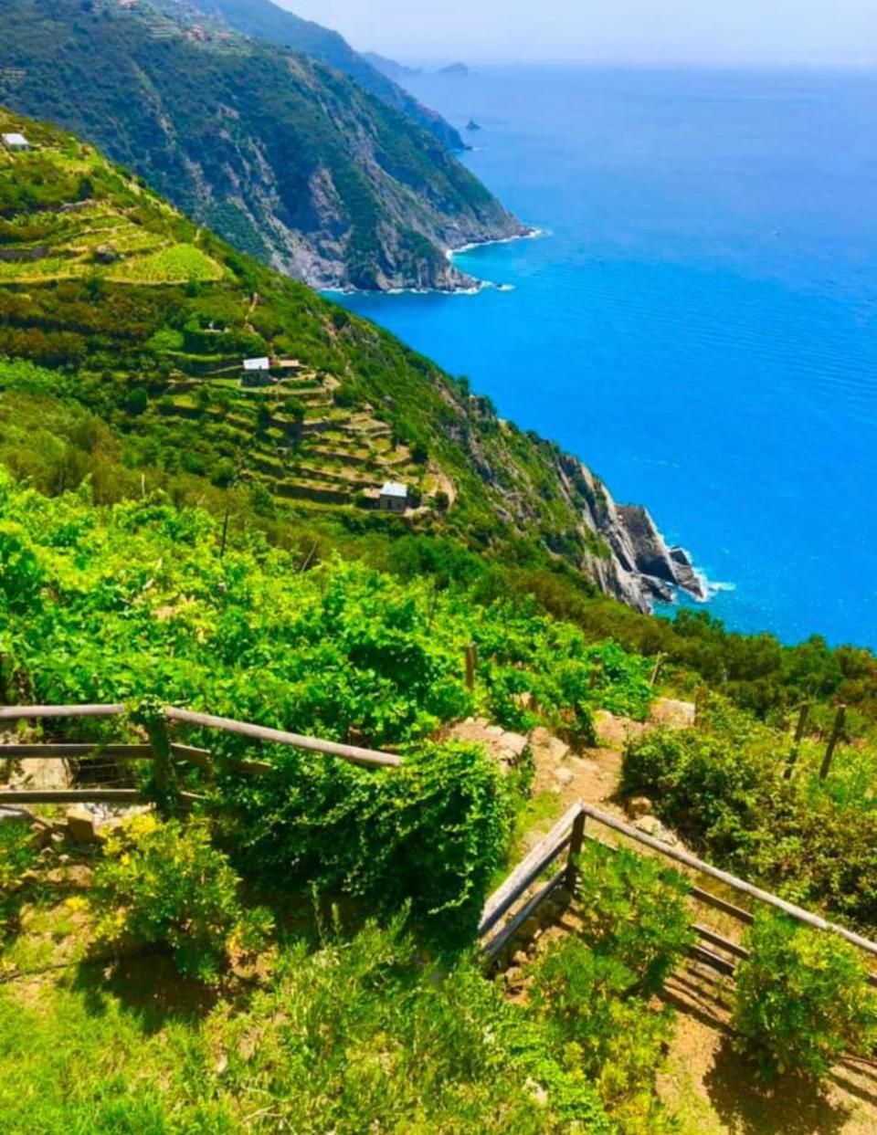 Orangehouse Cinque Terre. Private Parking Villa Riomaggiore Exterior photo